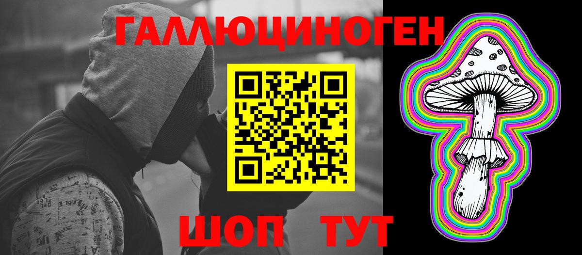 Тара  продажа наркотиков  Вход с VPN  Псилоцибиновые грибы ЛСД 