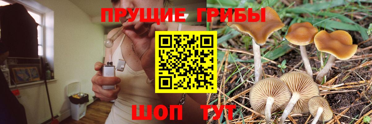 Псилоцибиновые грибы мухоморы Тара